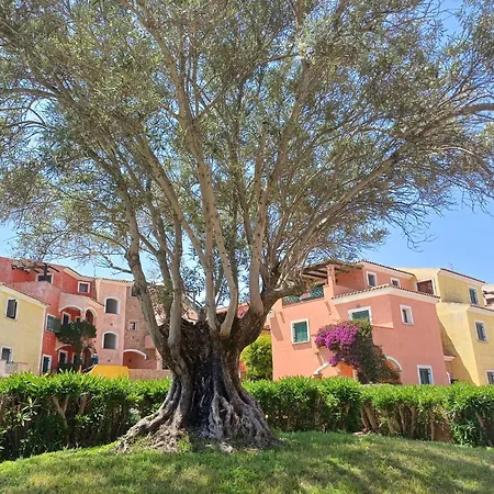 Casa Ginevra Apartment Santa Teresa Gallura Exterior photo