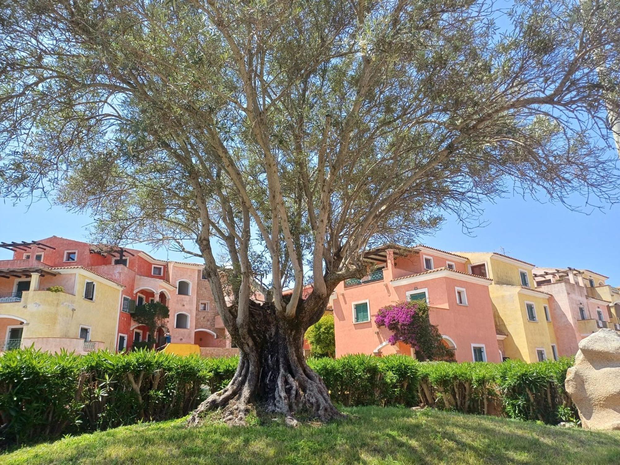 Casa Ginevra * Santa Teresa Gallura